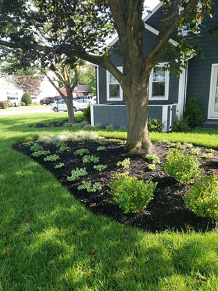 Stunning landscape design Rehoboth DE