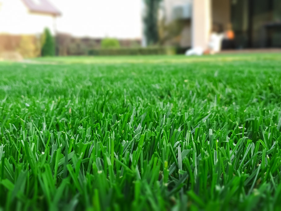 AdobeStock_315898390.jpeg