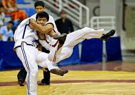 sj.gif