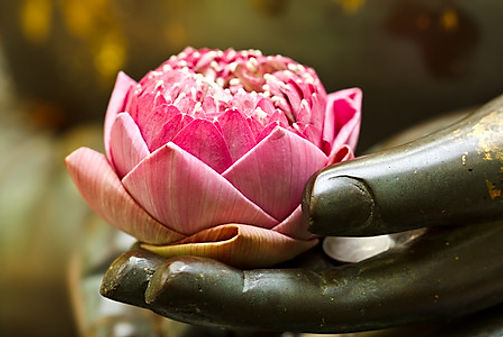 Photo main avec fleur de Lotus