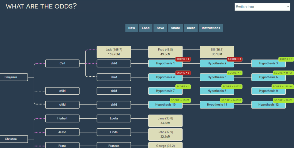 Screen capture of the "What are the odds" tool from DNA painter