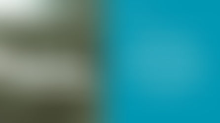 Why Write a Family History If No One Wants to Read It?