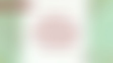 Have Southern Roots? 5 Steps for Researching in the American South