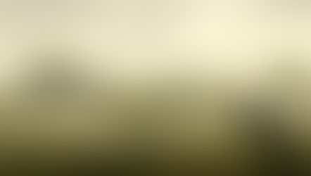 Black-and-white cow stands in a misty green pasture with fences, dirt path, farmhouses, and trees at dawn.