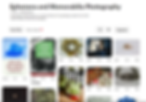 Snapshot of Pinterest Memorabilia Photography board