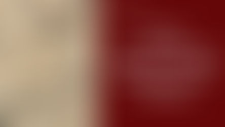 HELP! I Don’t Speak My Ancestor's Native Language - Genealogy Translation Tips 