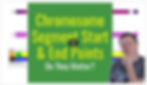 Video Thumbnail for: Do Chromosome Segment End Points Matter in Genetic Genealogy?