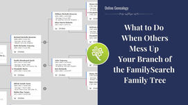 What to Do When Others Mess Up Your Part of the FamilySearch Family Tree
