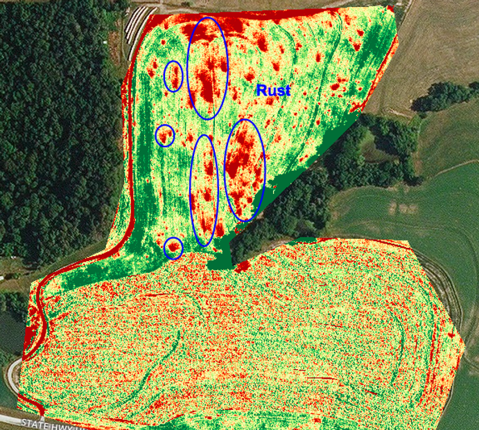 NDVI Crop Health Map