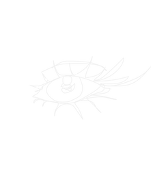 linearts_coco_Zeichenfläche 1 Kopie 2.png