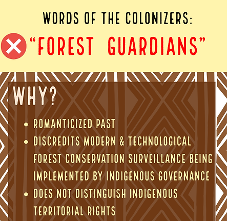 Futuro Amazonia (10).png