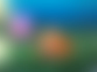 Conscience Alley in year 4