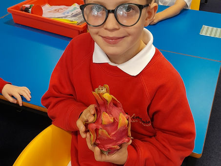 Have you seen a dragon?