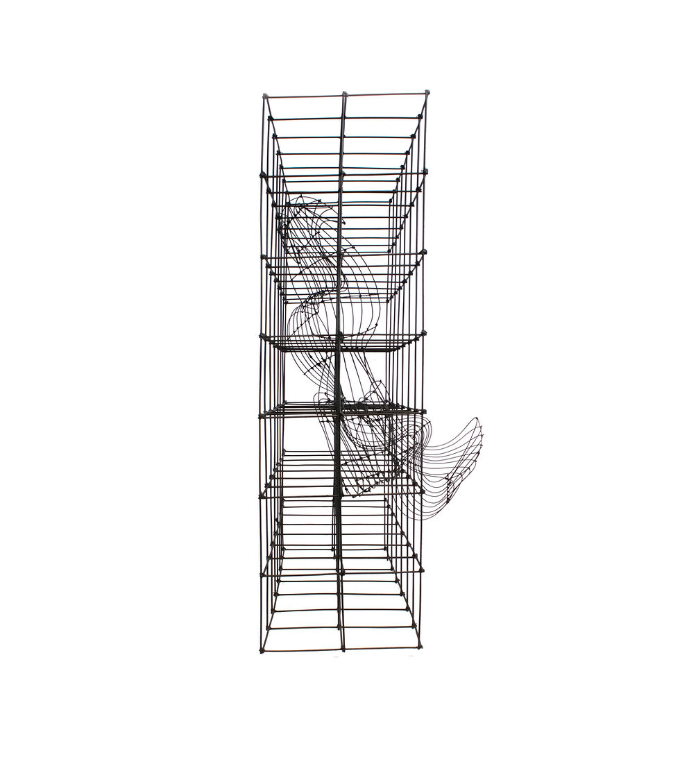 Thumbnail: Caged Aurora no. 1