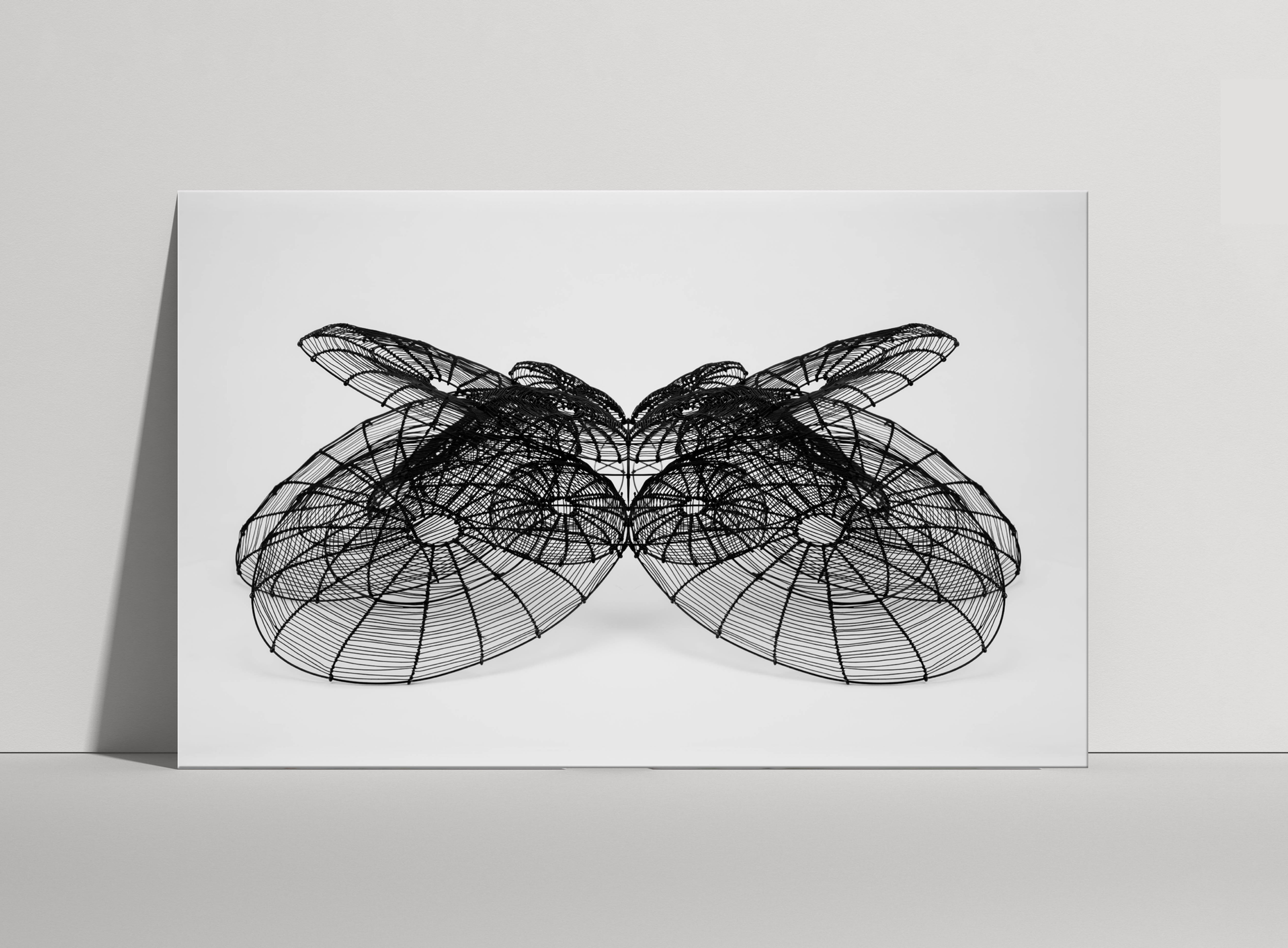 Icarus 15 Print in Plexi Glass/ Aluminum