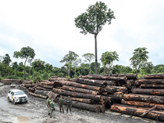 Desmatamento e mudanças climáticas