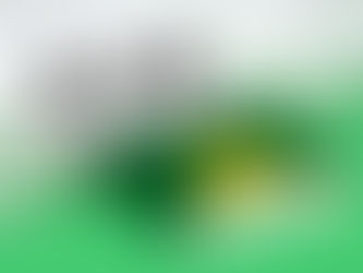 Uma proposta que desequilibra a liberdade religiosa e a laicidade do Estado Brasileiro