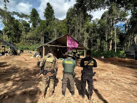 PF e IBAMA combatem o garimpo ilegal em terras indígenas na divisa entre Rondônia e Mato Grosso