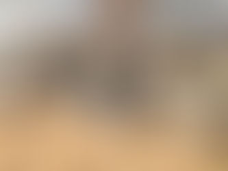 Projeto na Amazônia solta 6,5 milhões de filhotes de quelônios e conserva o maior local de desova da América do Sul