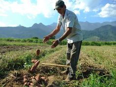 Programa de Projetos Sustentáveis na Agropecuária