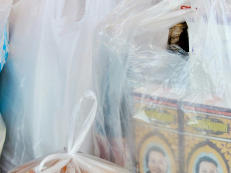 Fungos do solo aceleram a decomposição de sacolas plásticas, mostra experimento