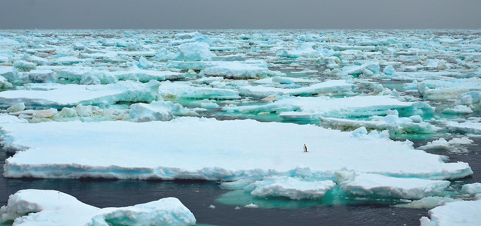 Antártica