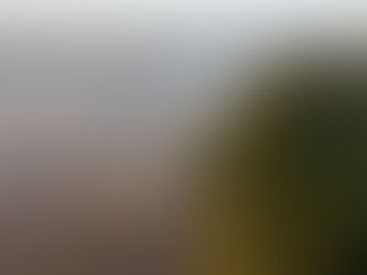 embarcações com foco em descarbonização