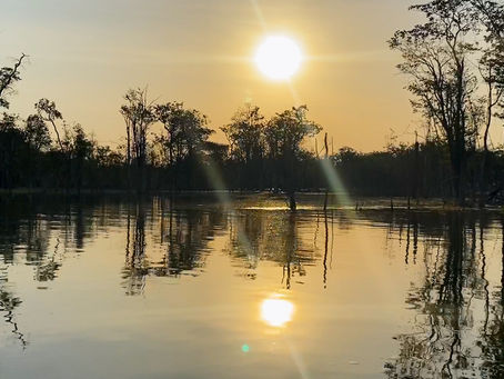 Os impactos financeiros das crises ambientais