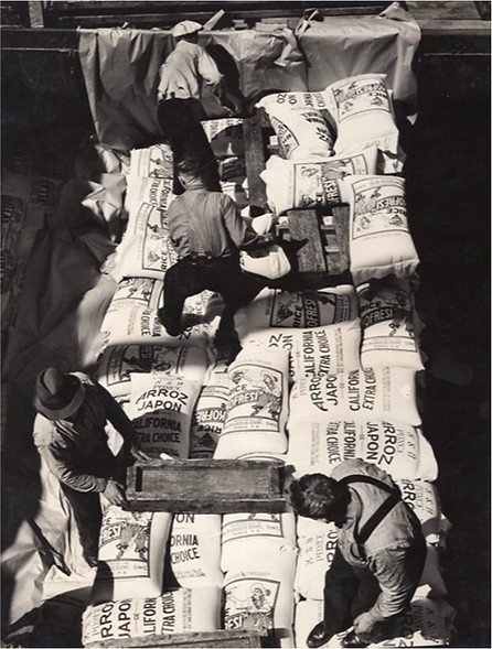 Screen Shot 2021-01-30 at 11.12.19 AM.pn