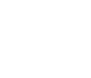 6.png