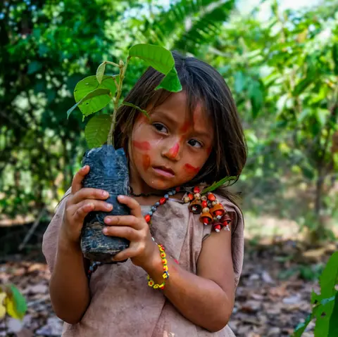 Líneas estratégicas: Reforestación de áreas
degradadas, aprovechamiento de servicios
ecosistémicos, áreas protegidas y reservas
territoriales.