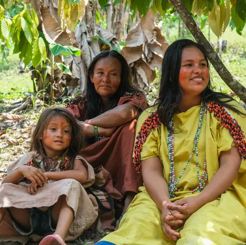 Líneas estratégicas: Economía indígena, desarrollo
personal y participación política.