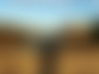 Bodega Otazu patrocina el pre-estreno de `Free Color´, el documental sobre Carlos Cruz-Diez