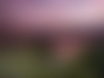 La Galería Badr El Jundi da el pistoletazo de salida con la reapertura del Hotel Villa Padierna