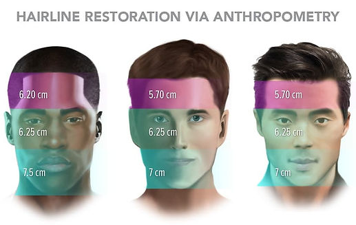 3-ETHNIC-Measurements-vertical-zones.jpg
