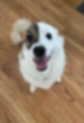 Bonny derpy 2_edited.jpg