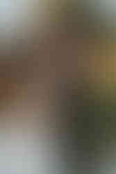 Wedding at Maple Meadows Farm Port Colborne