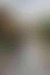 Wedding at Maple Meadows Farm Port Colborne