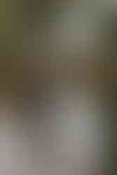 Wedding at Maple Meadows Farm Port Colborne