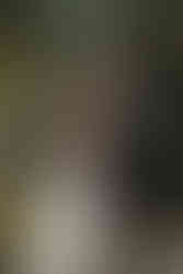 Wedding at Maple Meadows Farm Port Colborne