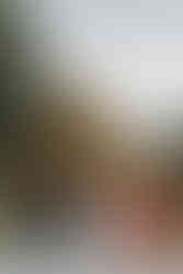 Wedding at Maple Meadows Farm Port Colborne