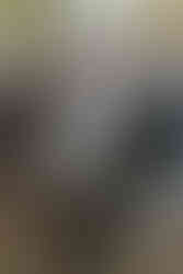 Wedding at Maple Meadows Farm Port Colborne