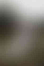 The first kiss at a Niagara wedding