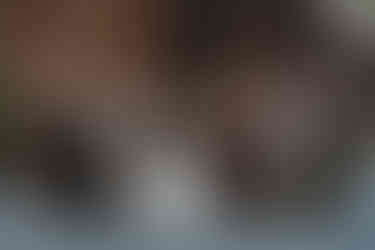 Wedding at Maple Meadows Farm Port Colborne