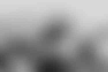 Wedding at Maple Meadows Farm Port Colborne