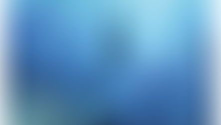 The Lonely Diver, with Renato Palmuti