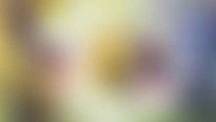 Workshop: Ladybugs & Daisy, with Andrew Geeson