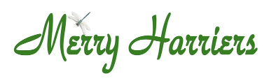 The Merry Harriers in Godalming, United Kingdom