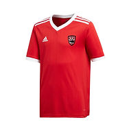 BFC_JERSEY_ADIDAS.jpeg