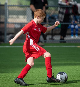 DSC_2949_edited.jpg